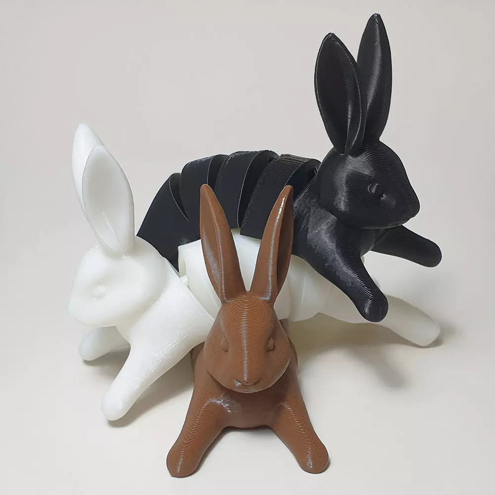flexi rabbit 3D print model