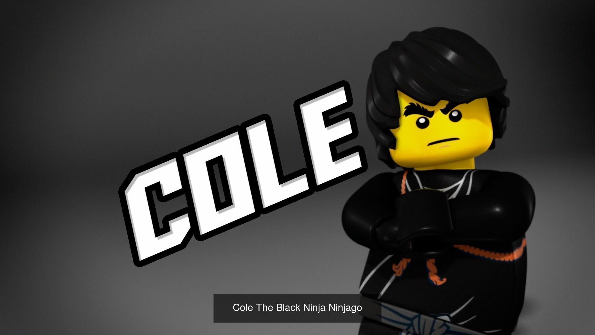 Lego Ninjago Ninjas Season 1 Character Pack 3D Model Collection_2