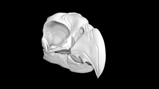 Parrot skull