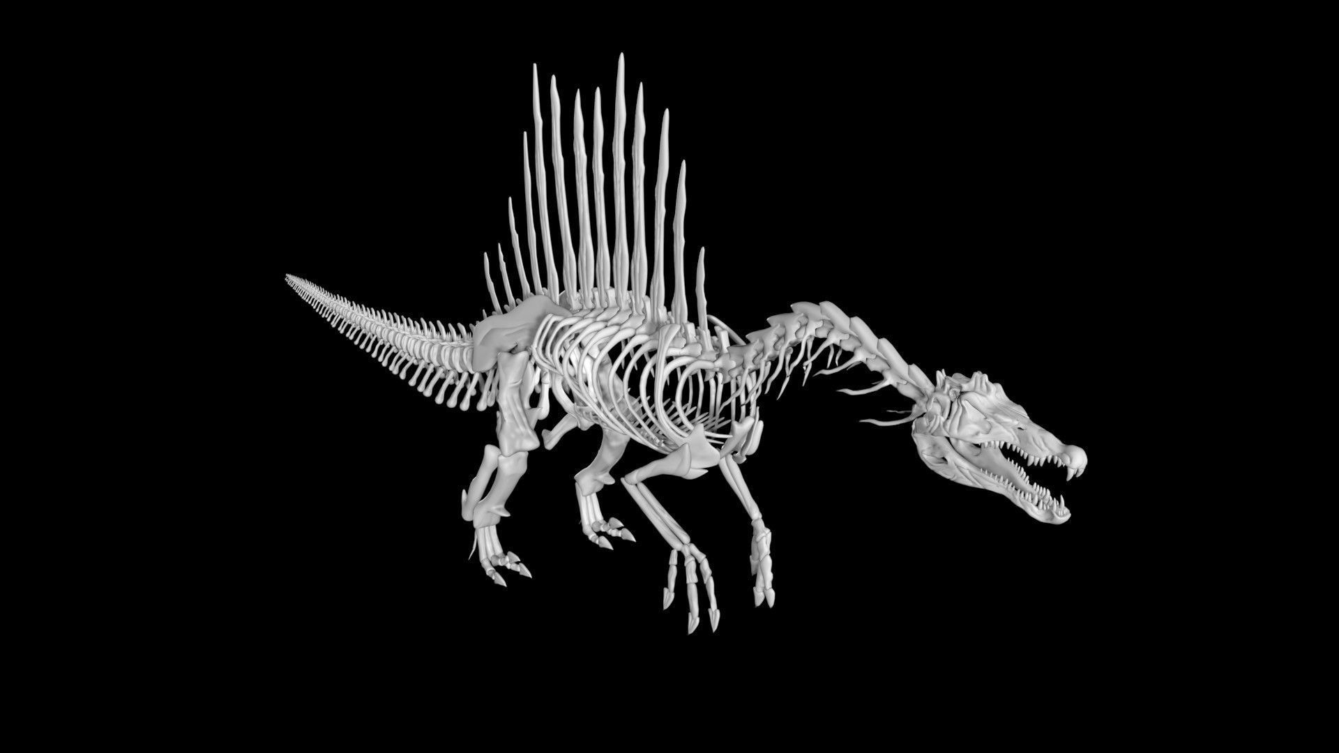 Spinosaurus skeleton Low-poly 3D model_1