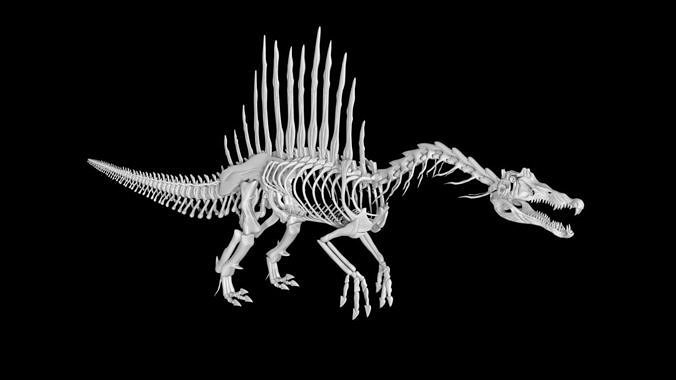 Spinosaurus skeleton Low-poly 3D model