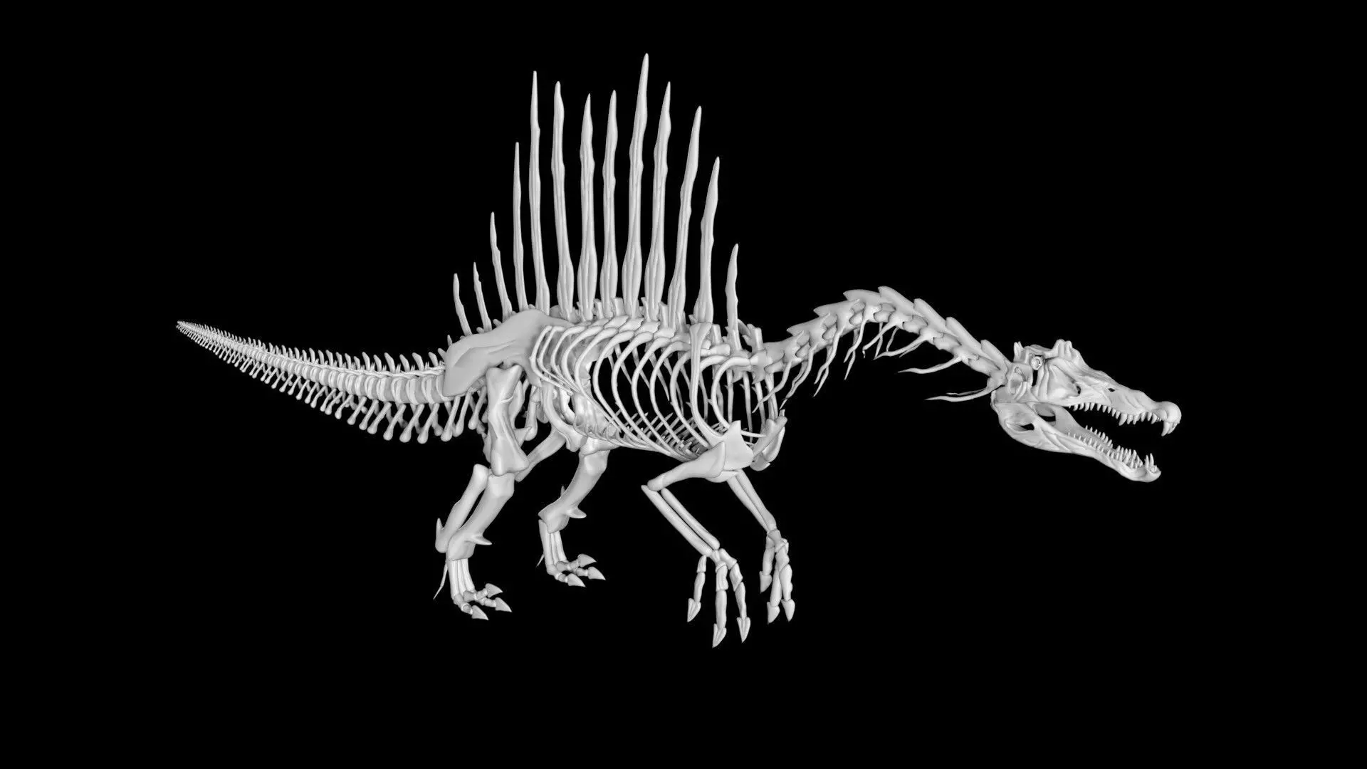 Spinosaurus skeleton Low-poly 3D model_0