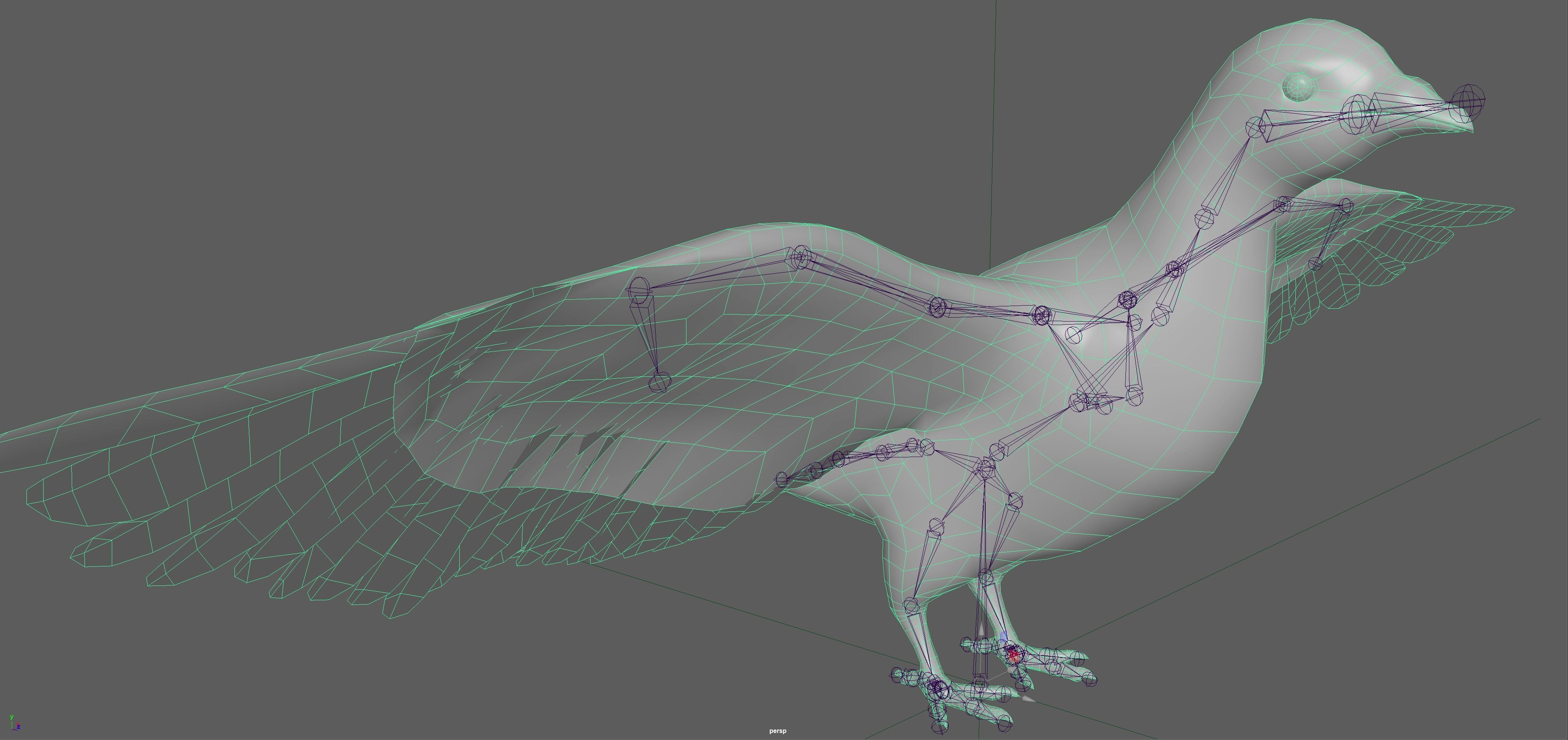 Pigeon Low-poly 3D model_13