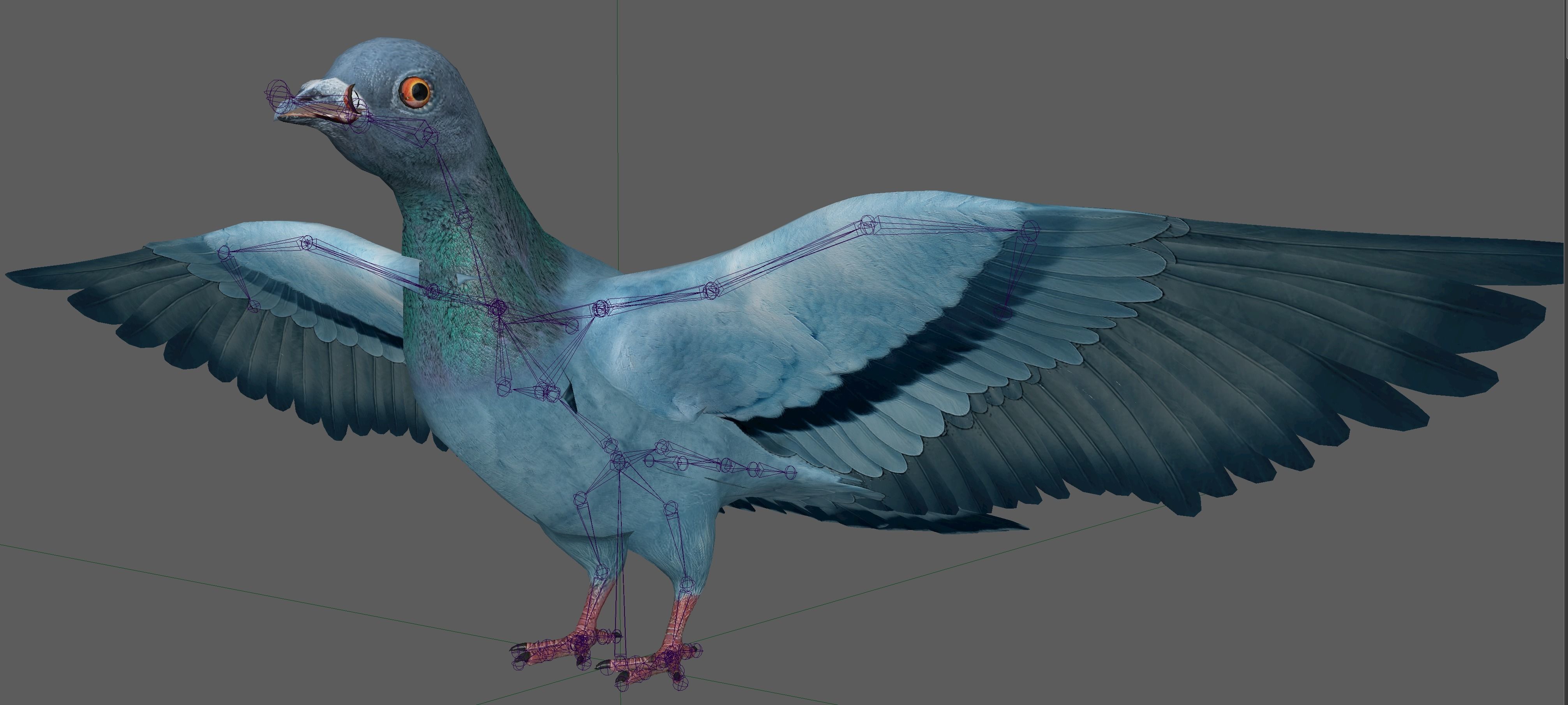 Pigeon Low-poly 3D model_7