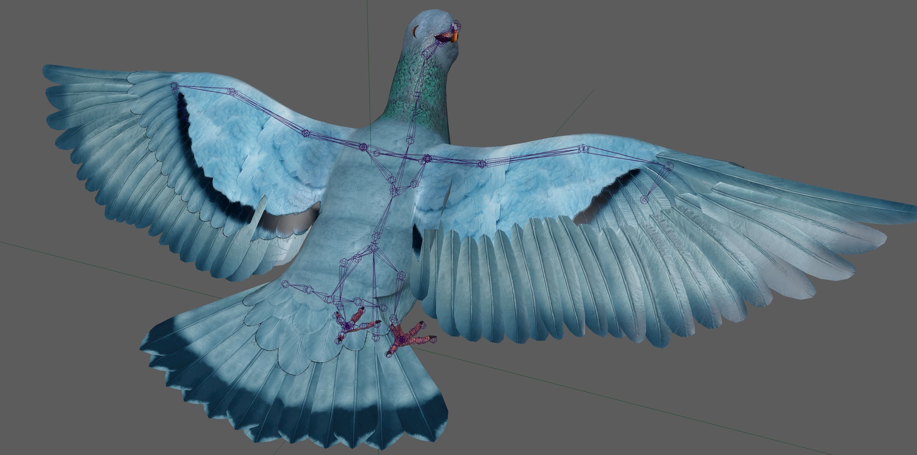 Pigeon Low-poly 3D model_19