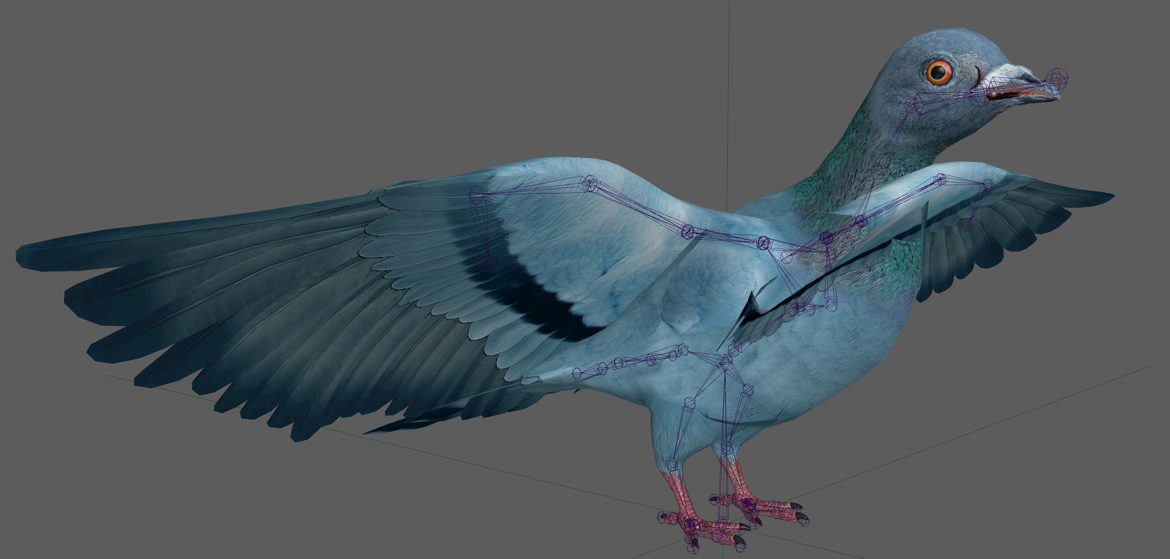 Pigeon Low-poly 3D model_17