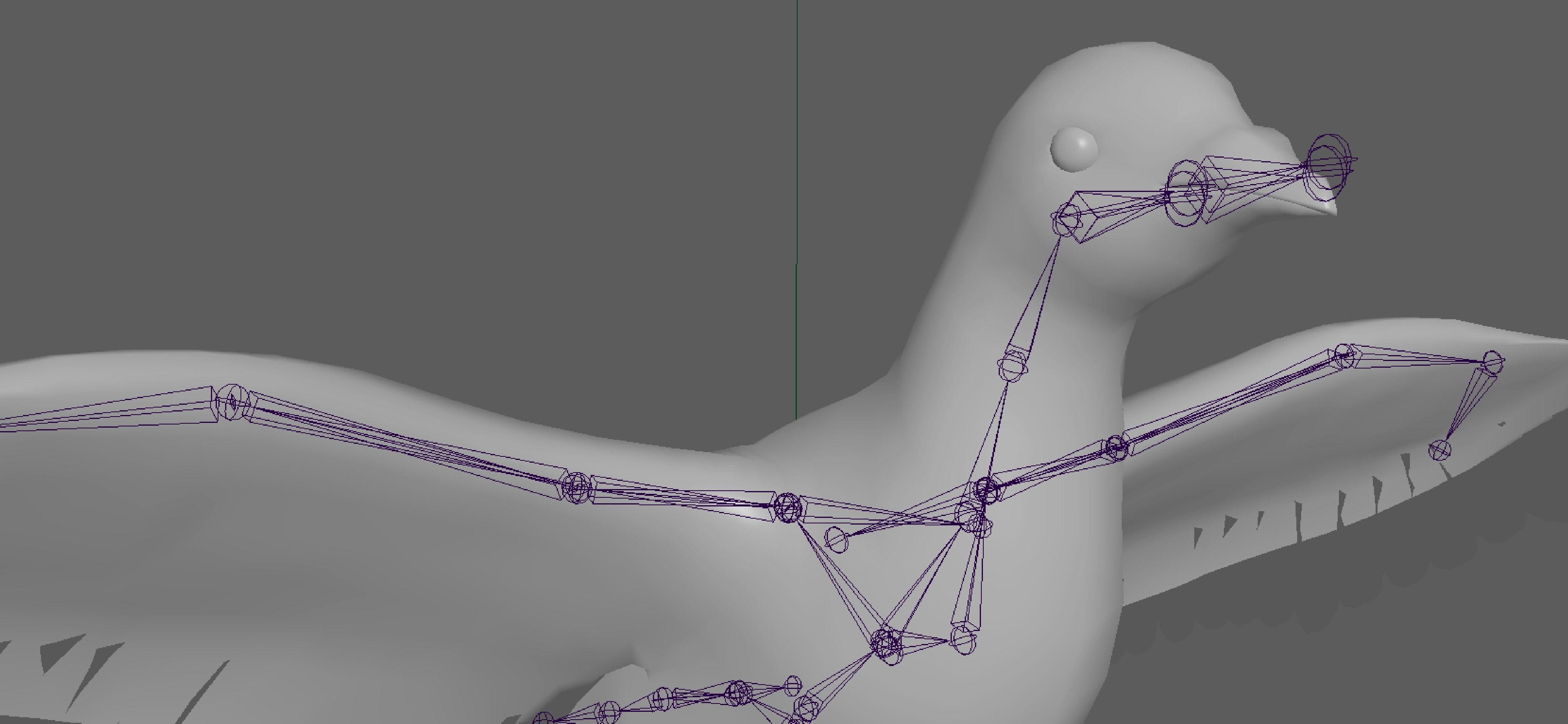 Pigeon Low-poly 3D model_12