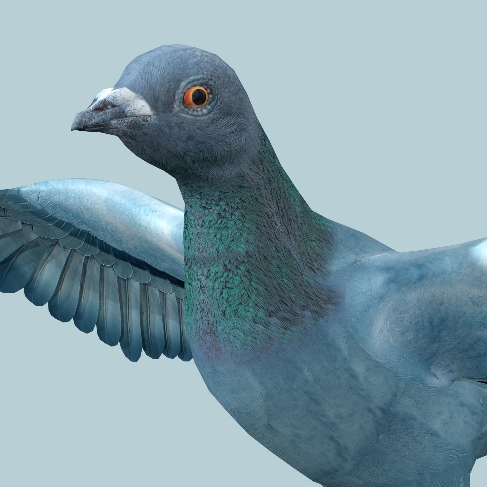Pigeon Low-poly 3D model_3