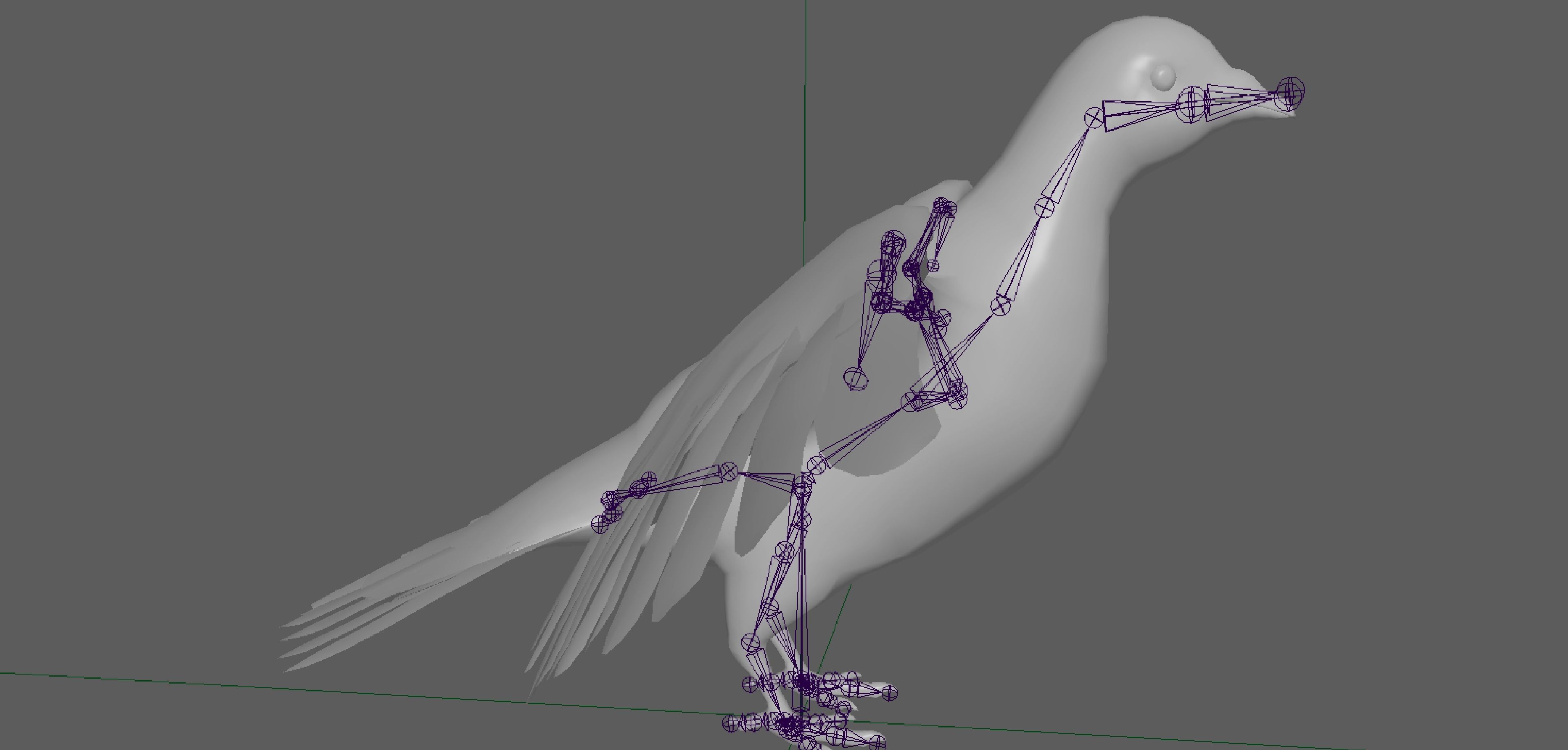 Pigeon Low-poly 3D model_18