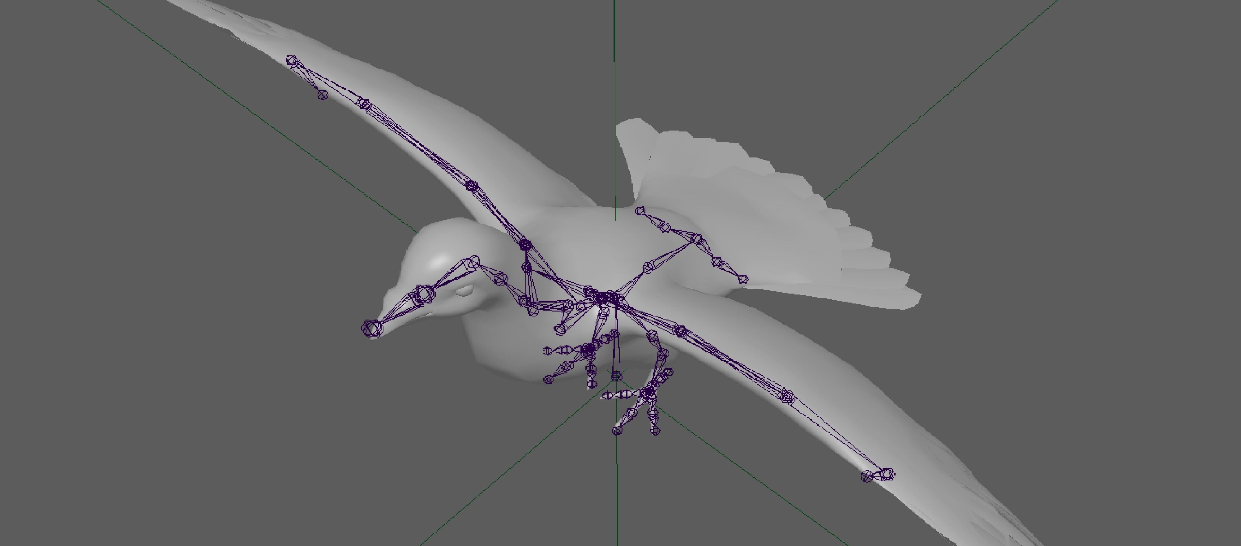 Pigeon Low-poly 3D model_11