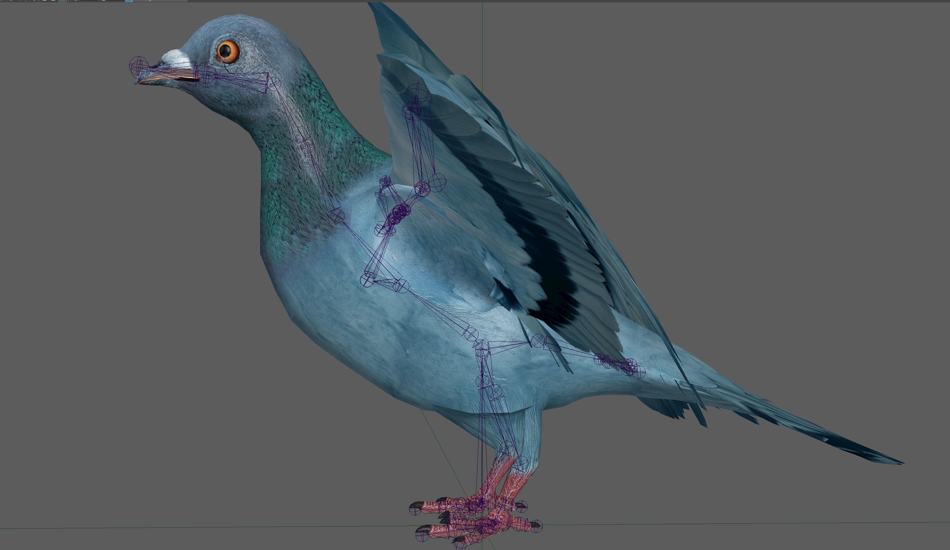 Pigeon Low-poly 3D model_21