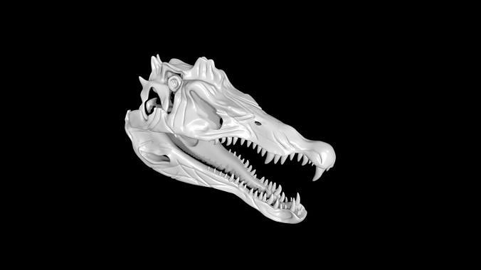 Spinosaurus skull Low-poly 3D model