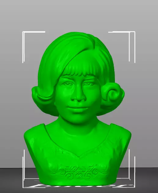 Aretha Franklin 3D print model_15