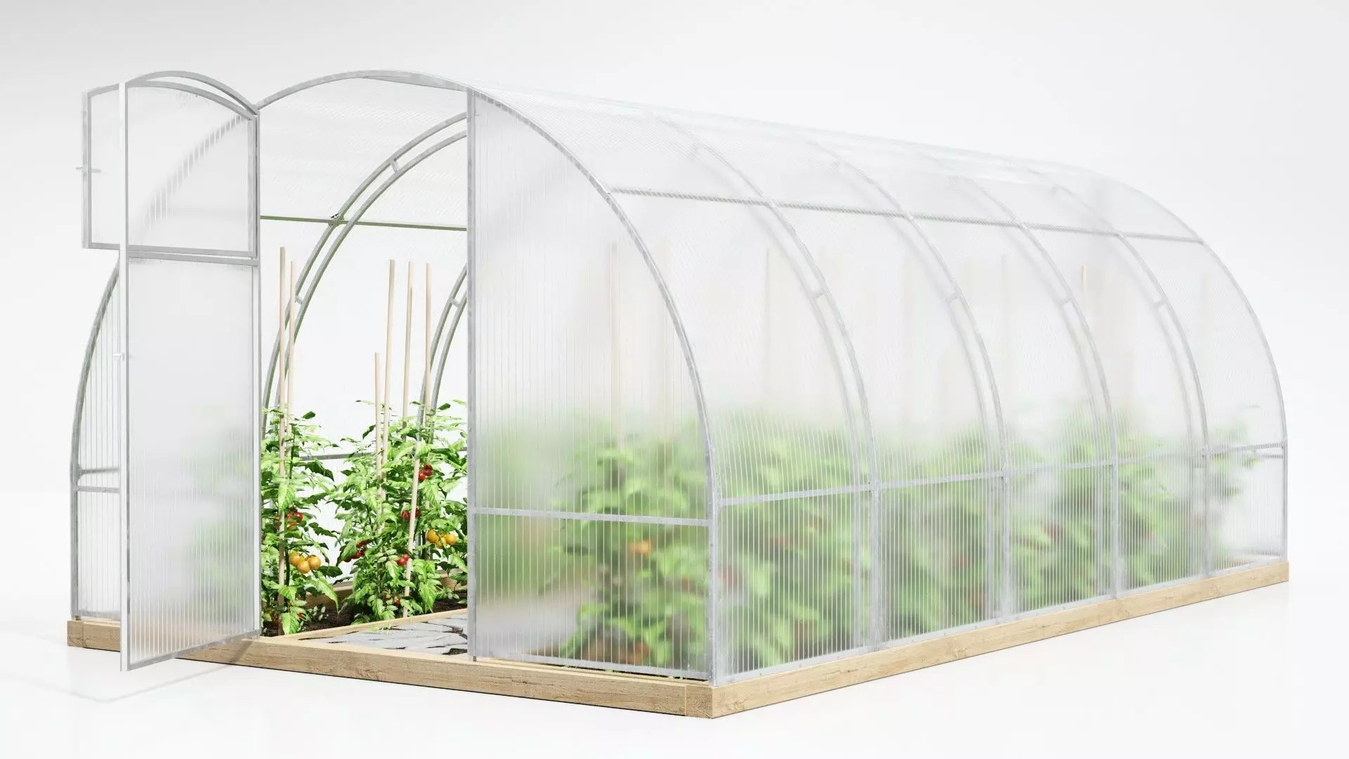 Greenhouse clear plastic container with plants in it 3D model_0
