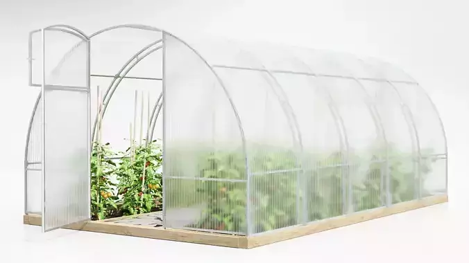 Greenhouse clear plastic container with plants in it