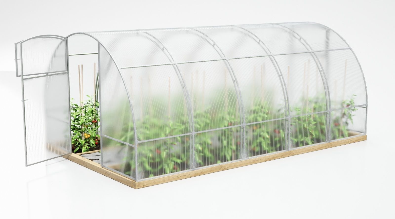 Greenhouse clear plastic container with plants in it 3D model_3