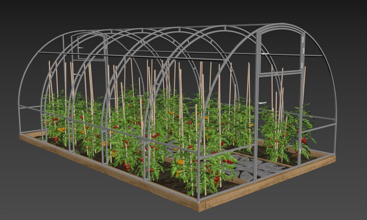 Greenhouse clear plastic container with plants in it 3D model_25