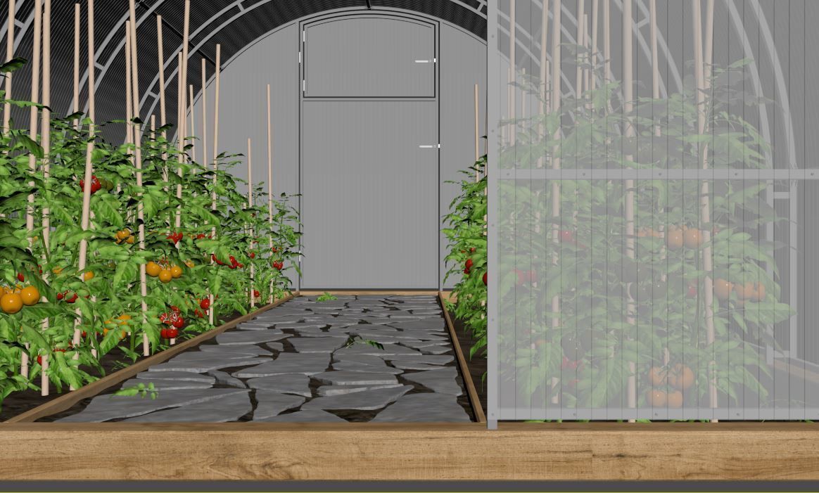 Greenhouse clear plastic container with plants in it 3D model_23