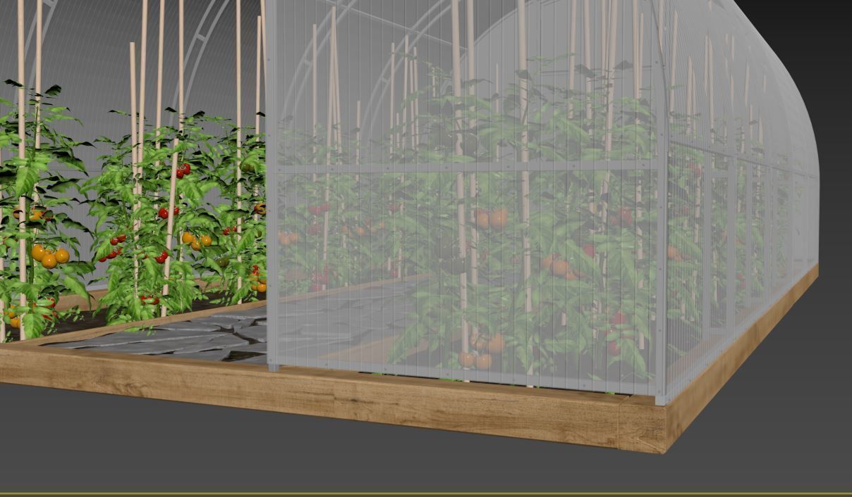 Greenhouse clear plastic container with plants in it 3D model_24