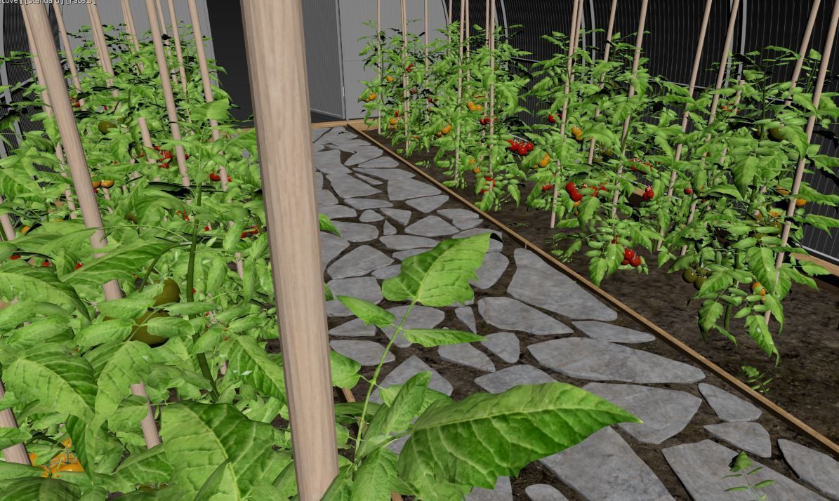 Greenhouse clear plastic container with plants in it 3D model_13