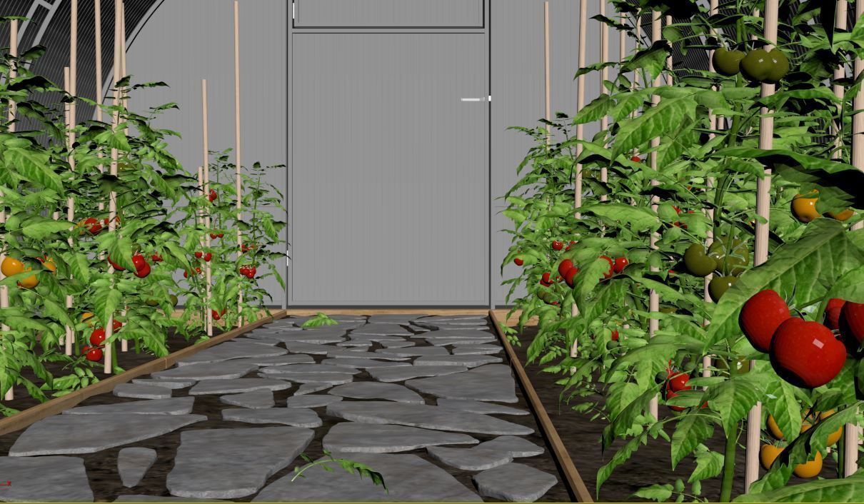 Greenhouse clear plastic container with plants in it 3D model_20