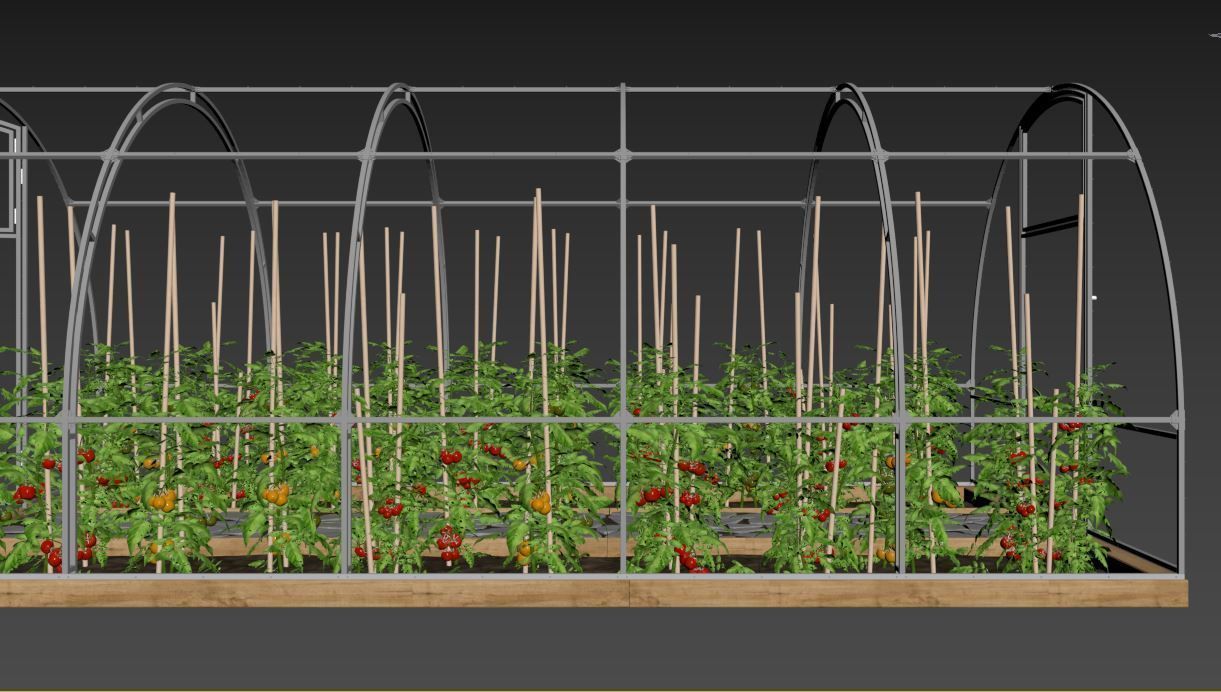 Greenhouse clear plastic container with plants in it 3D model_27