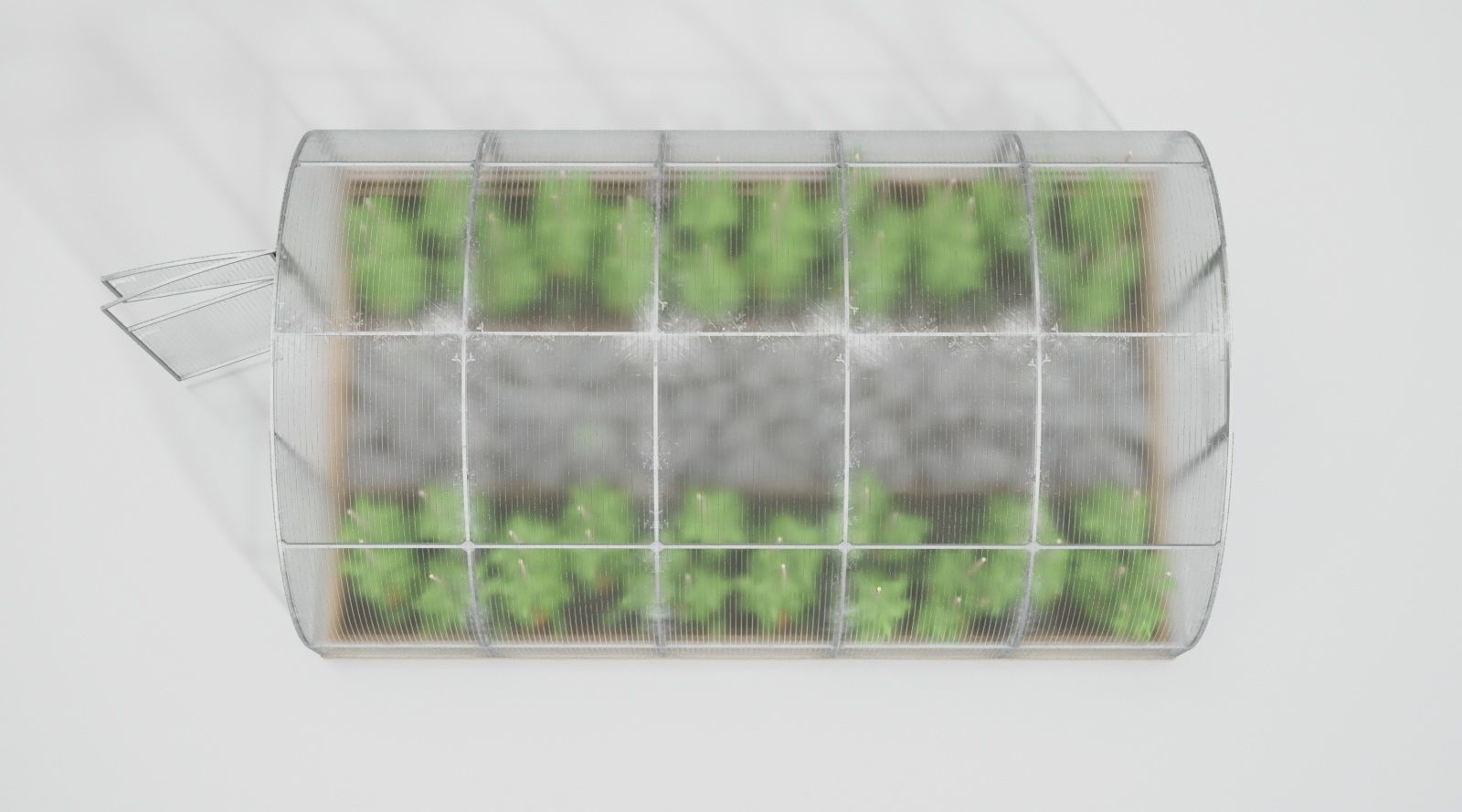 Greenhouse clear plastic container with plants in it 3D model_4