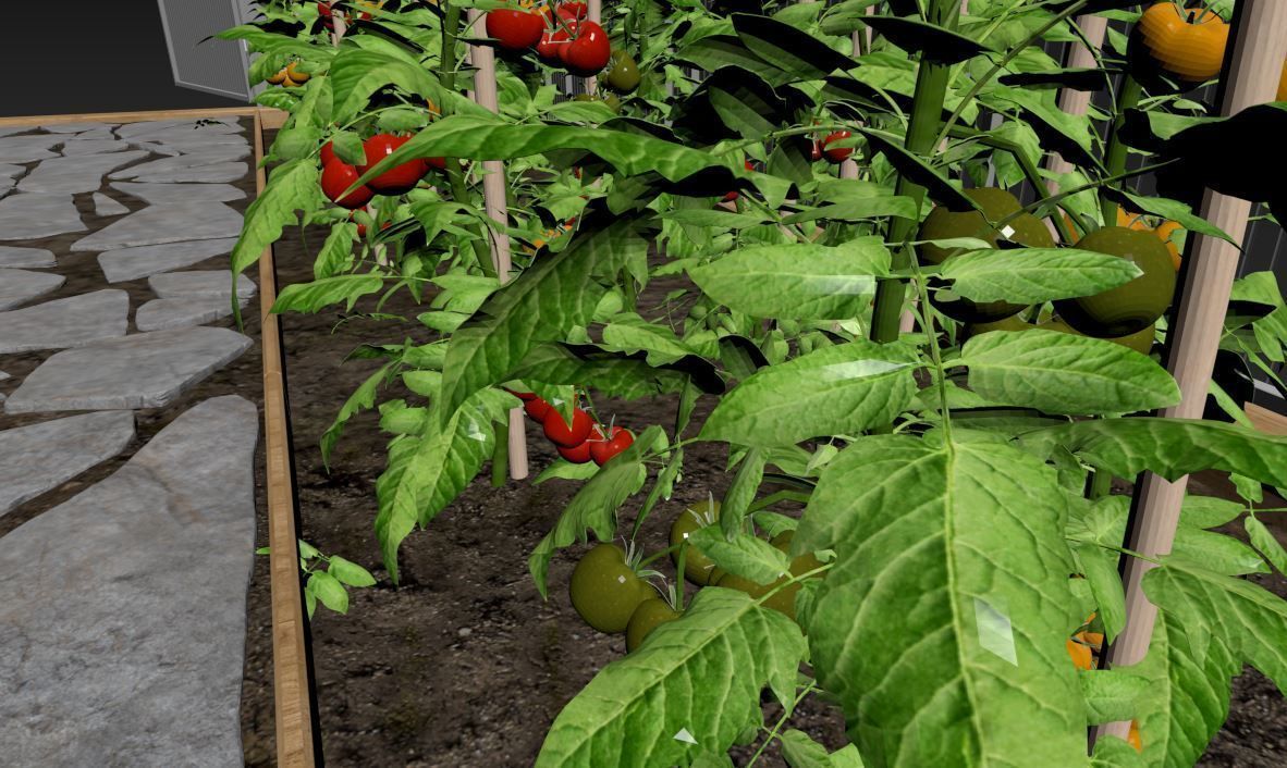 Greenhouse clear plastic container with plants in it 3D model_14