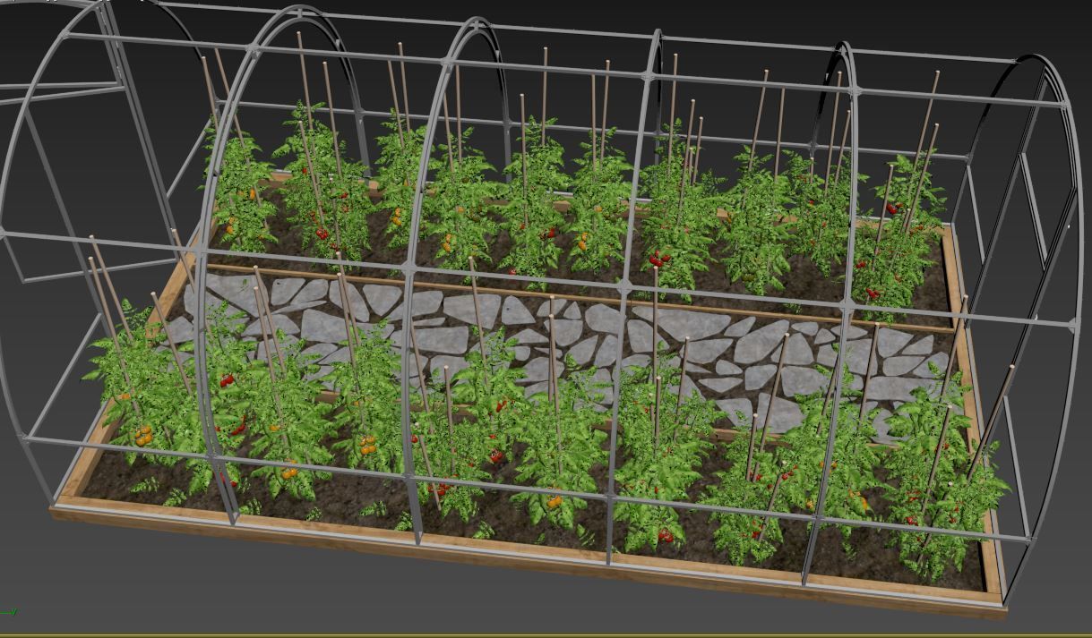 Greenhouse clear plastic container with plants in it 3D model_26