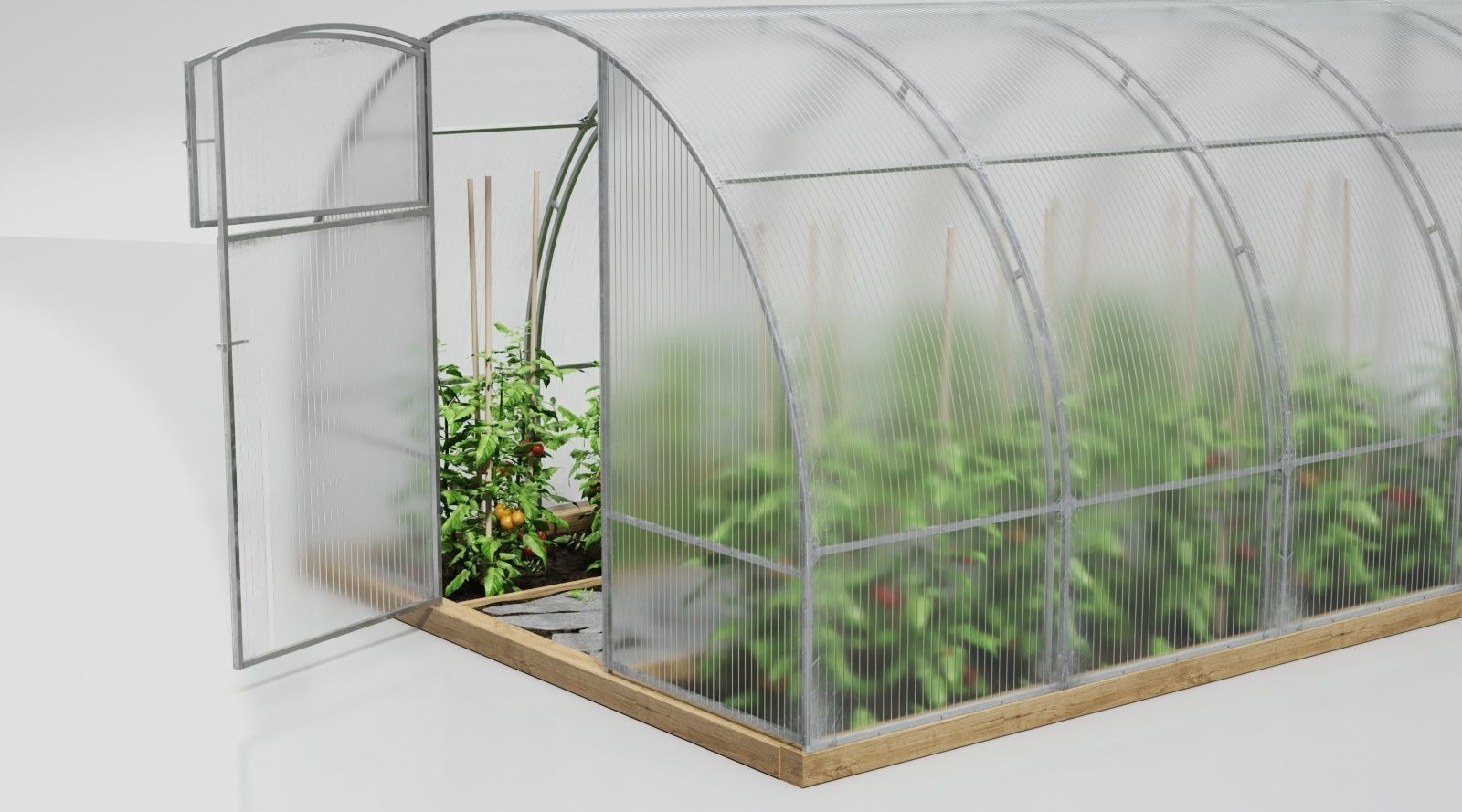 Greenhouse clear plastic container with plants in it 3D model_5