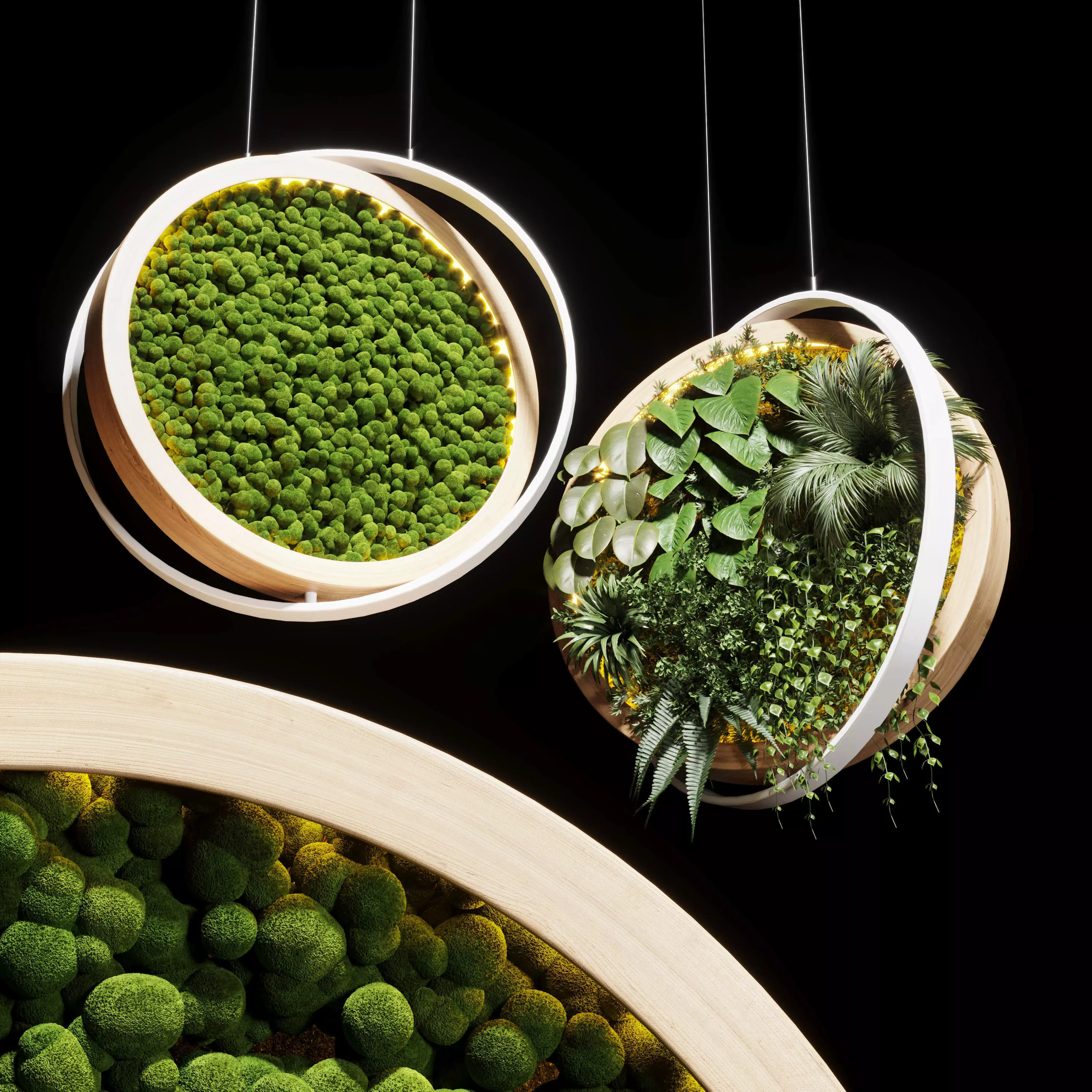 hanging garden and hanging moss in wooden frame 218 3D model_0