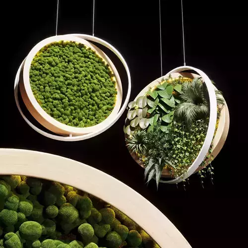 hanging garden and hanging moss in wooden frame 218 3D model