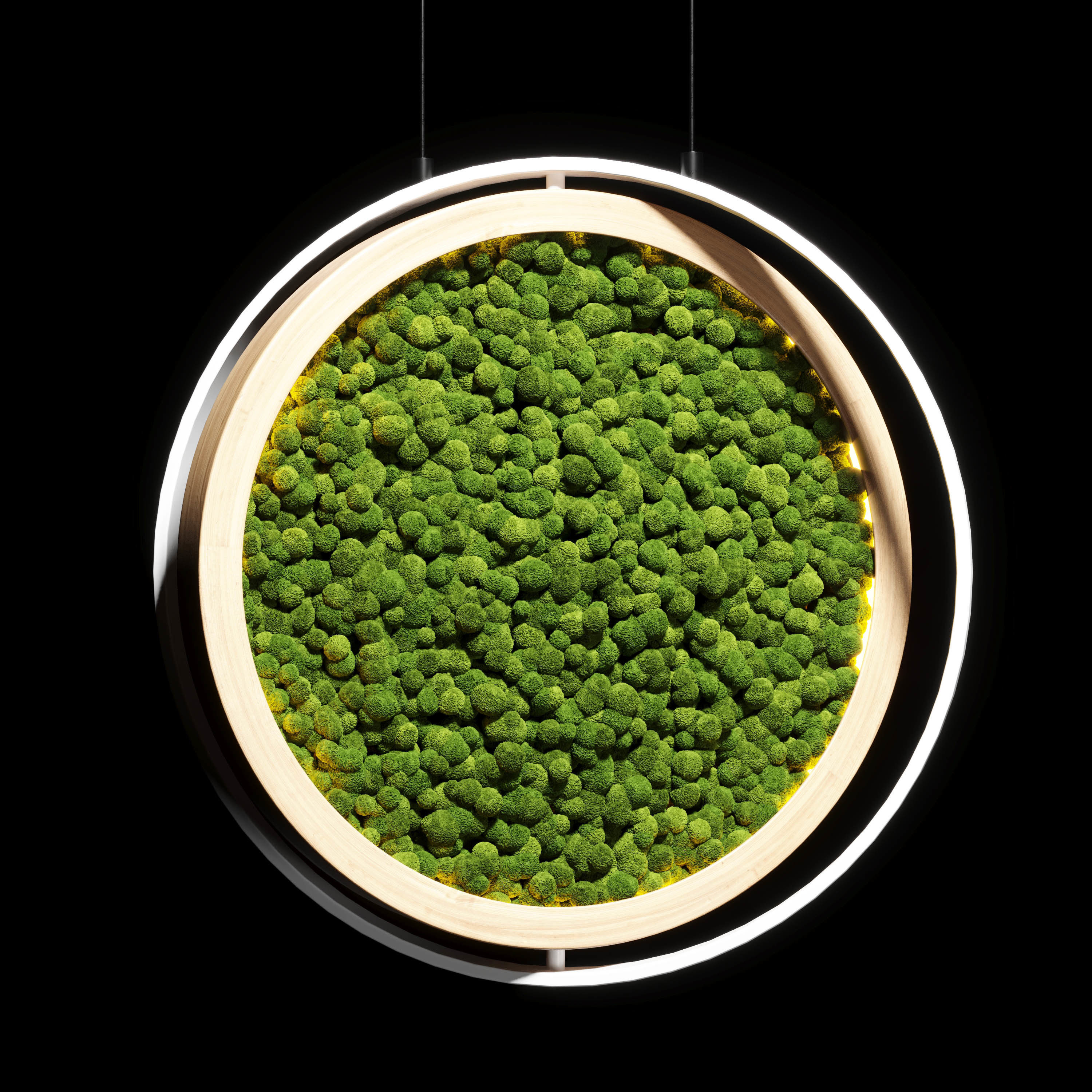 hanging garden and hanging moss in wooden frame 218 3D model_1
