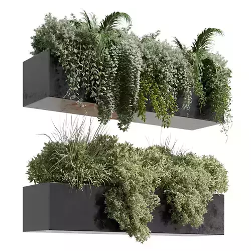 wall plant  hanging plants collection Indoor concrete dirt vase