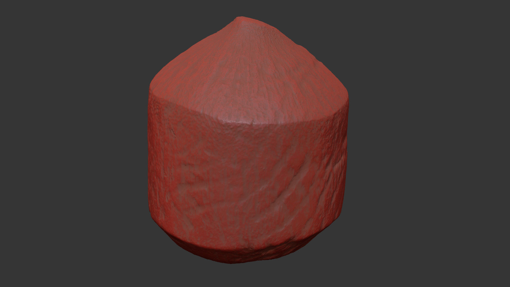 Coconut 3D model_7