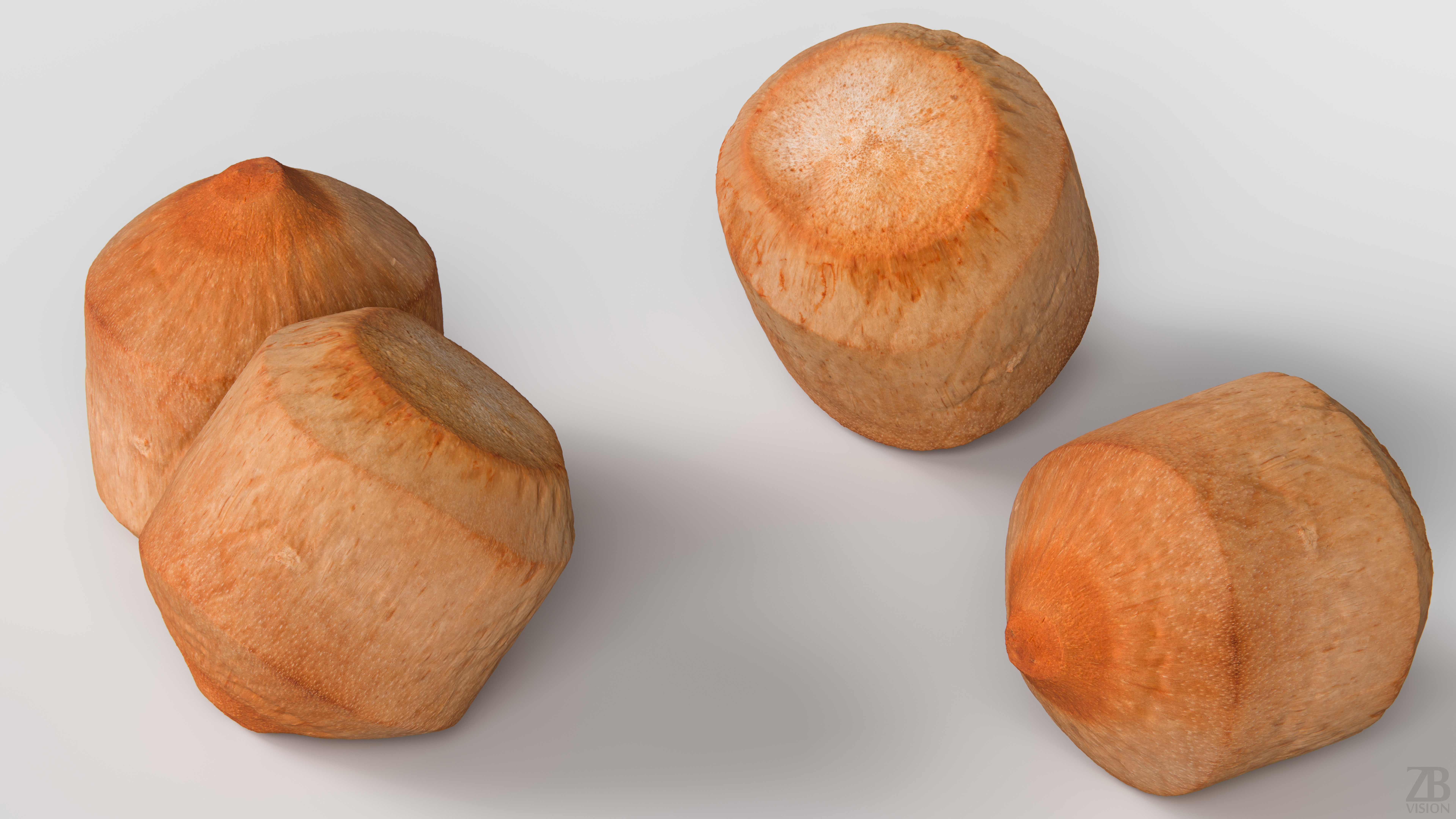 Coconut 3D model_2
