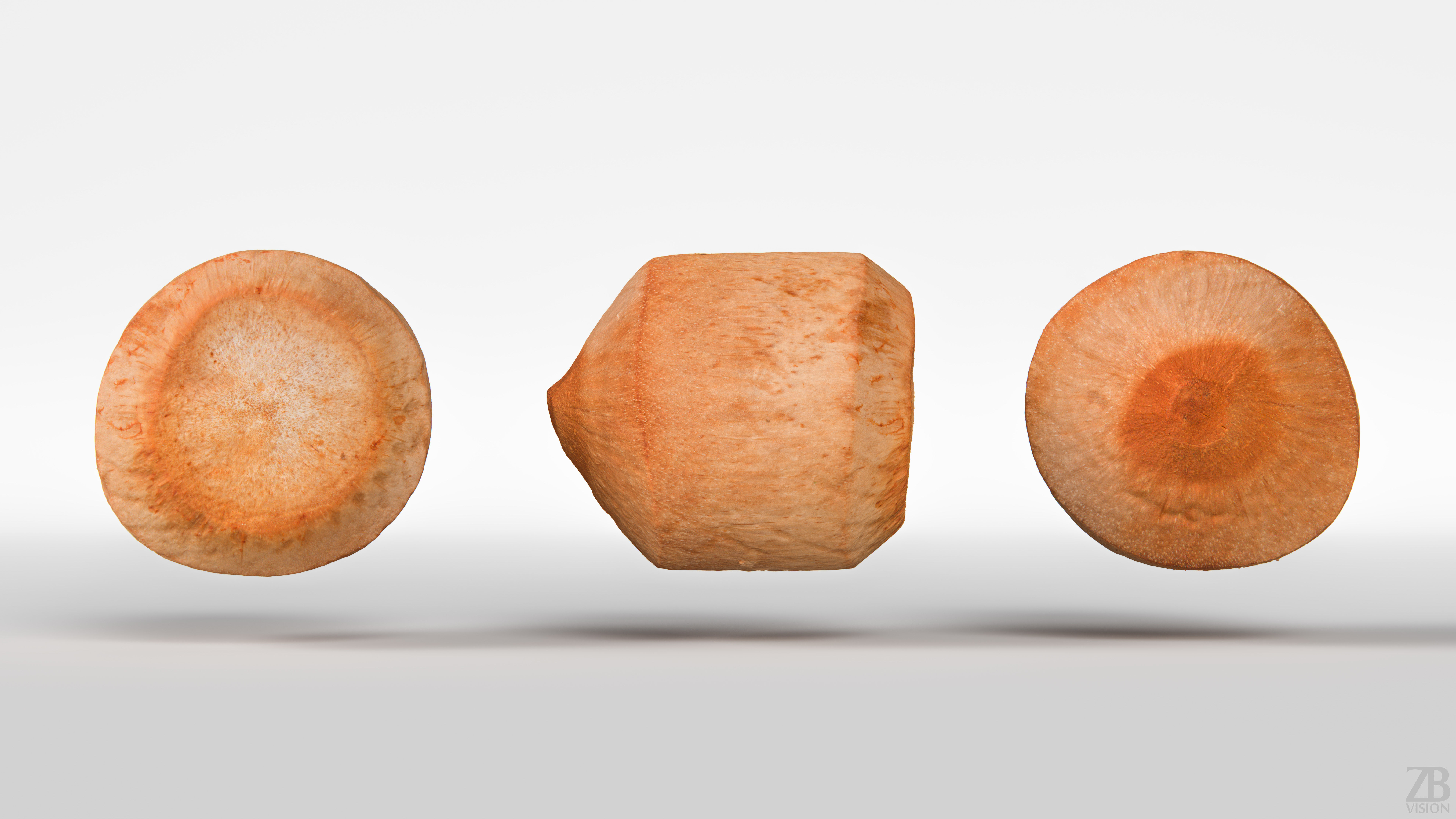 Coconut 3D model_4