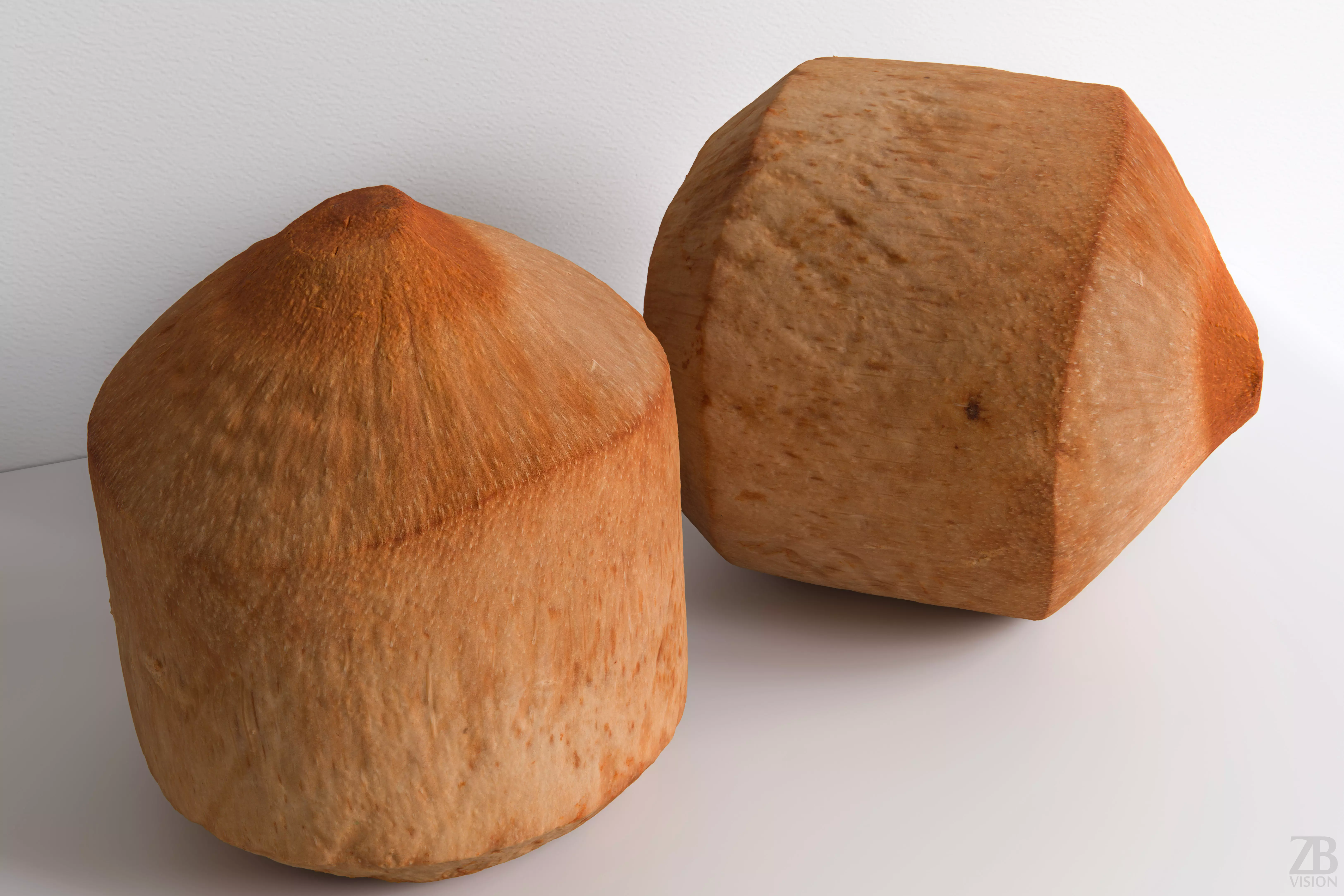 Coconut 3D model_0