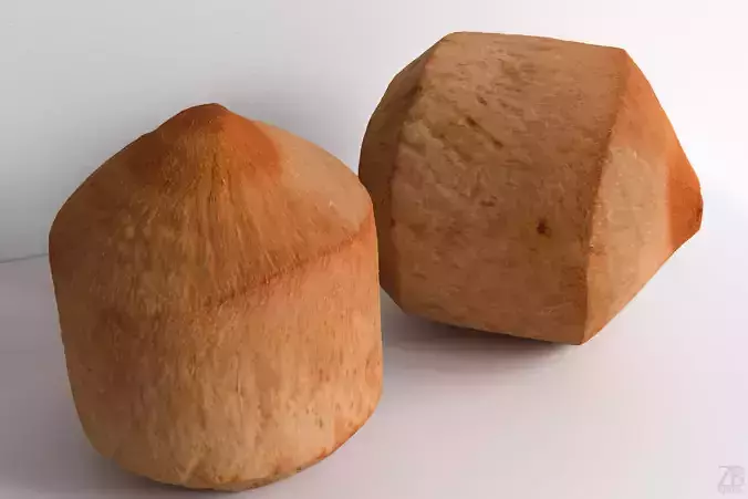 Coconut 3D model Coconut 3D model