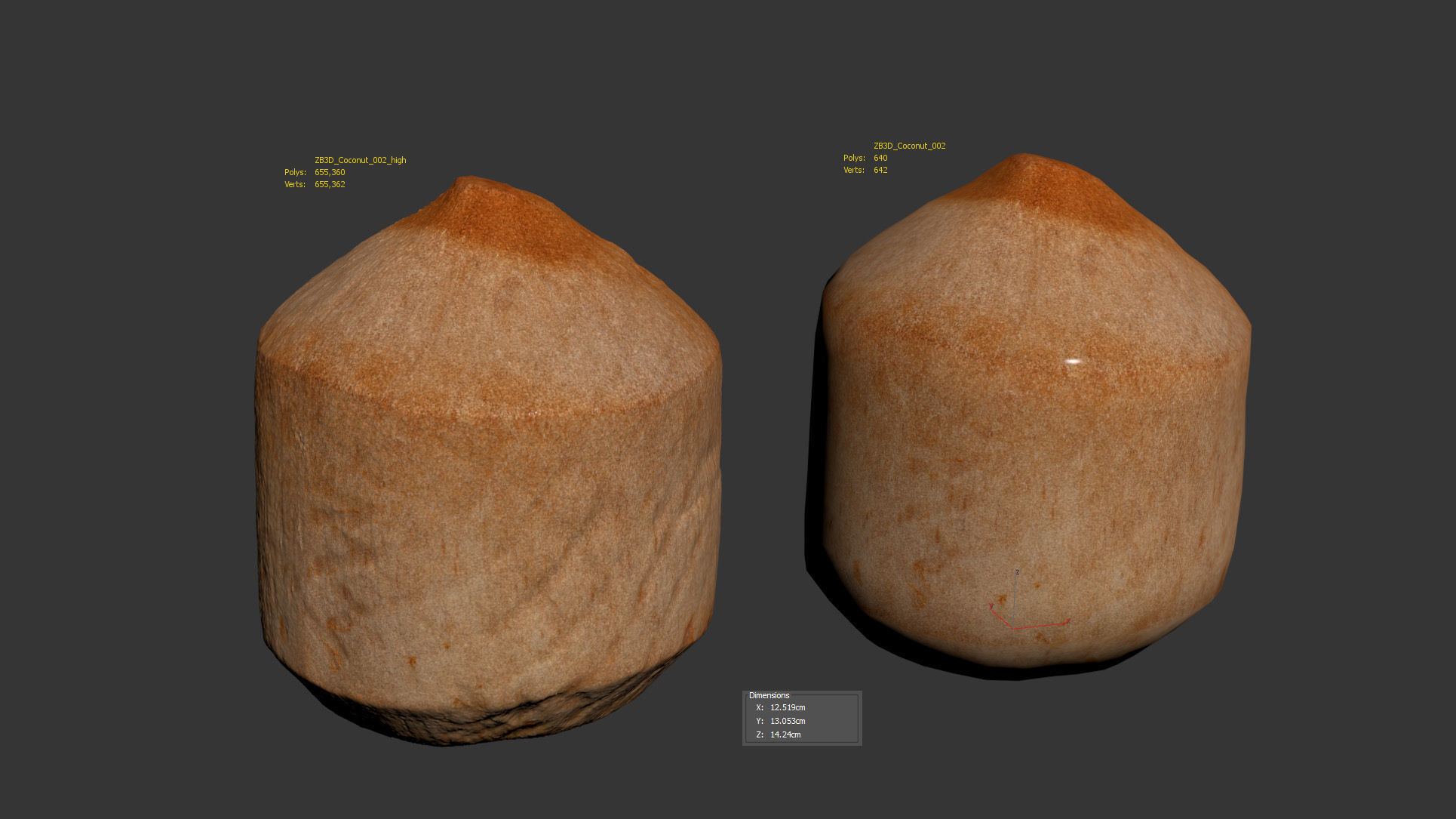 Coconut 3D model_5