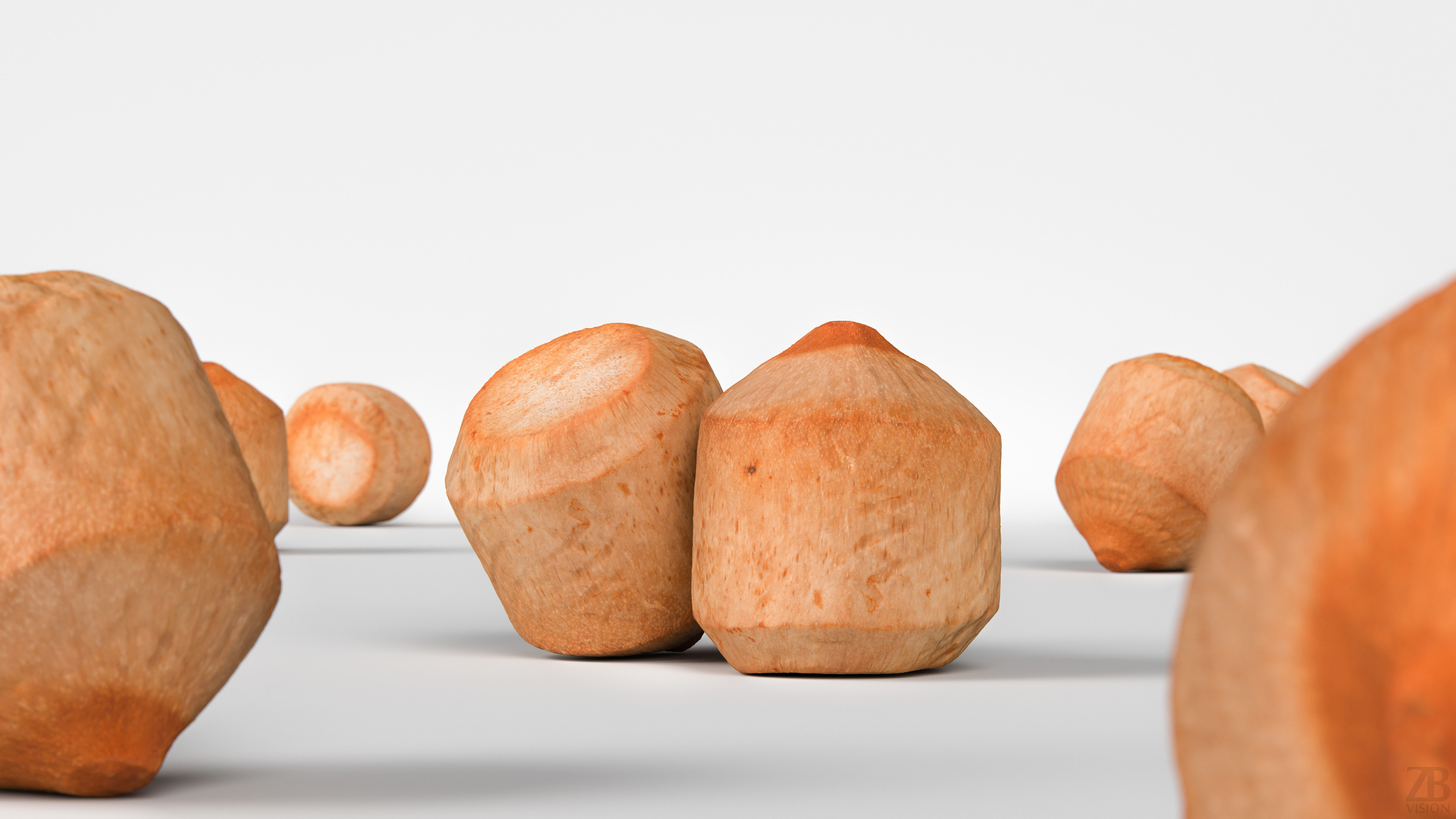 Coconut 3D model_1