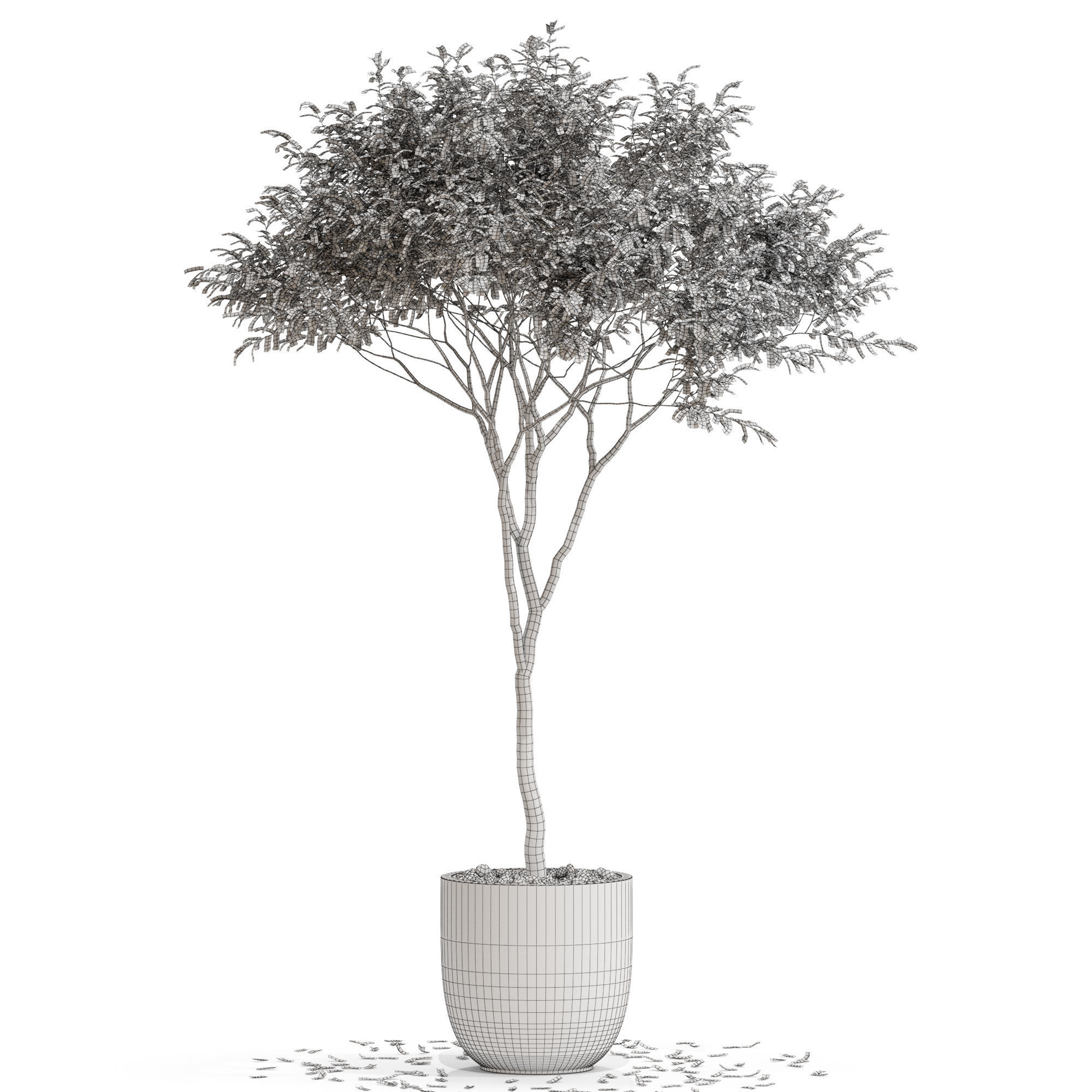 Plants collection 658 3D model_3