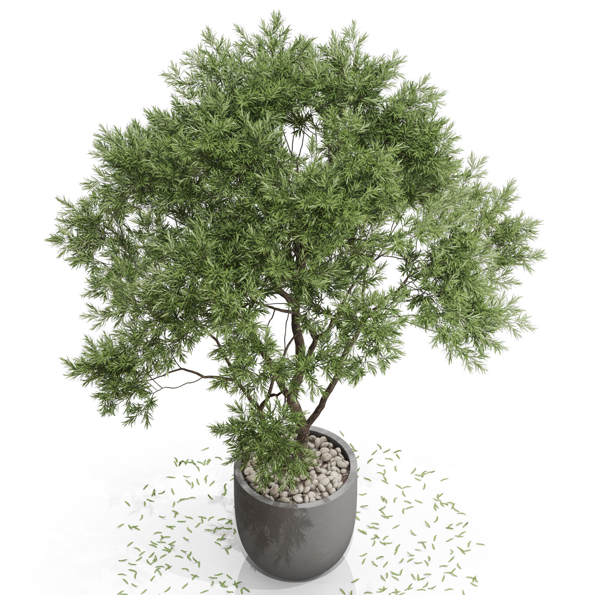 Plants collection 670 3D model_2