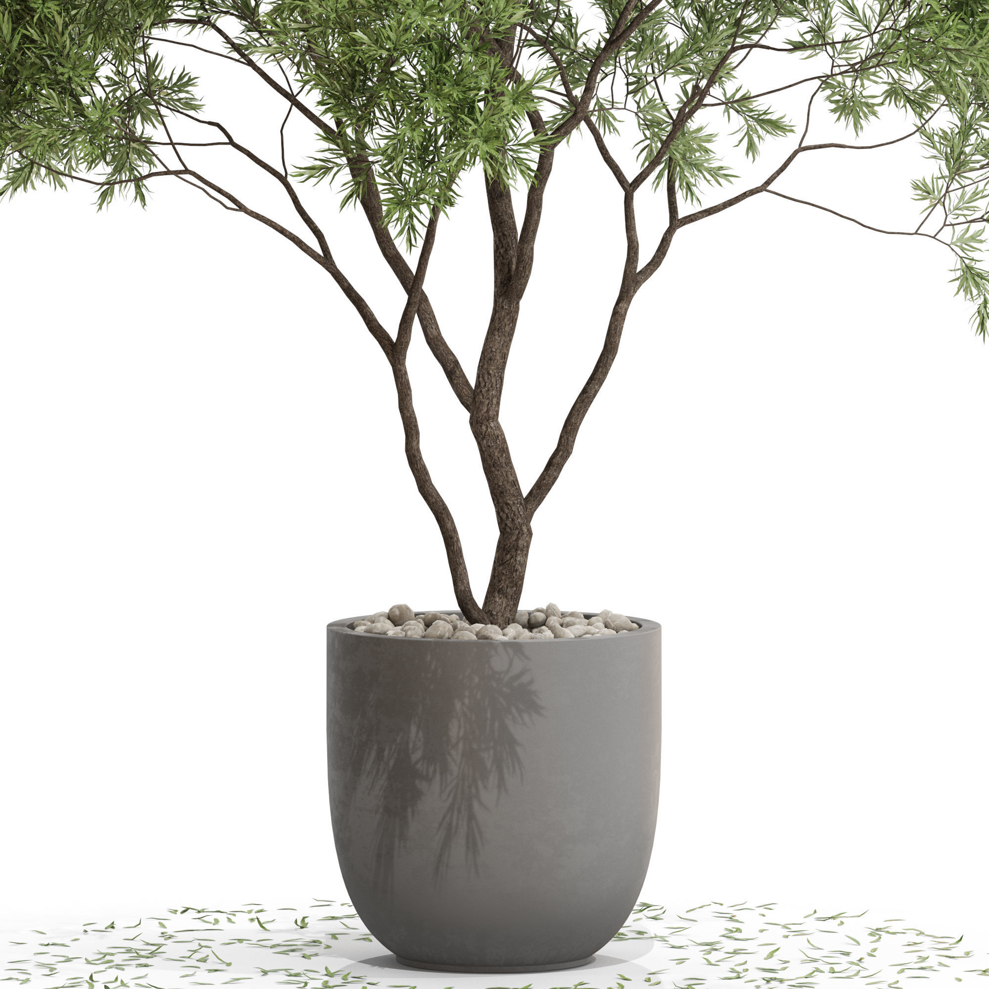 Plants collection 670 3D model_1