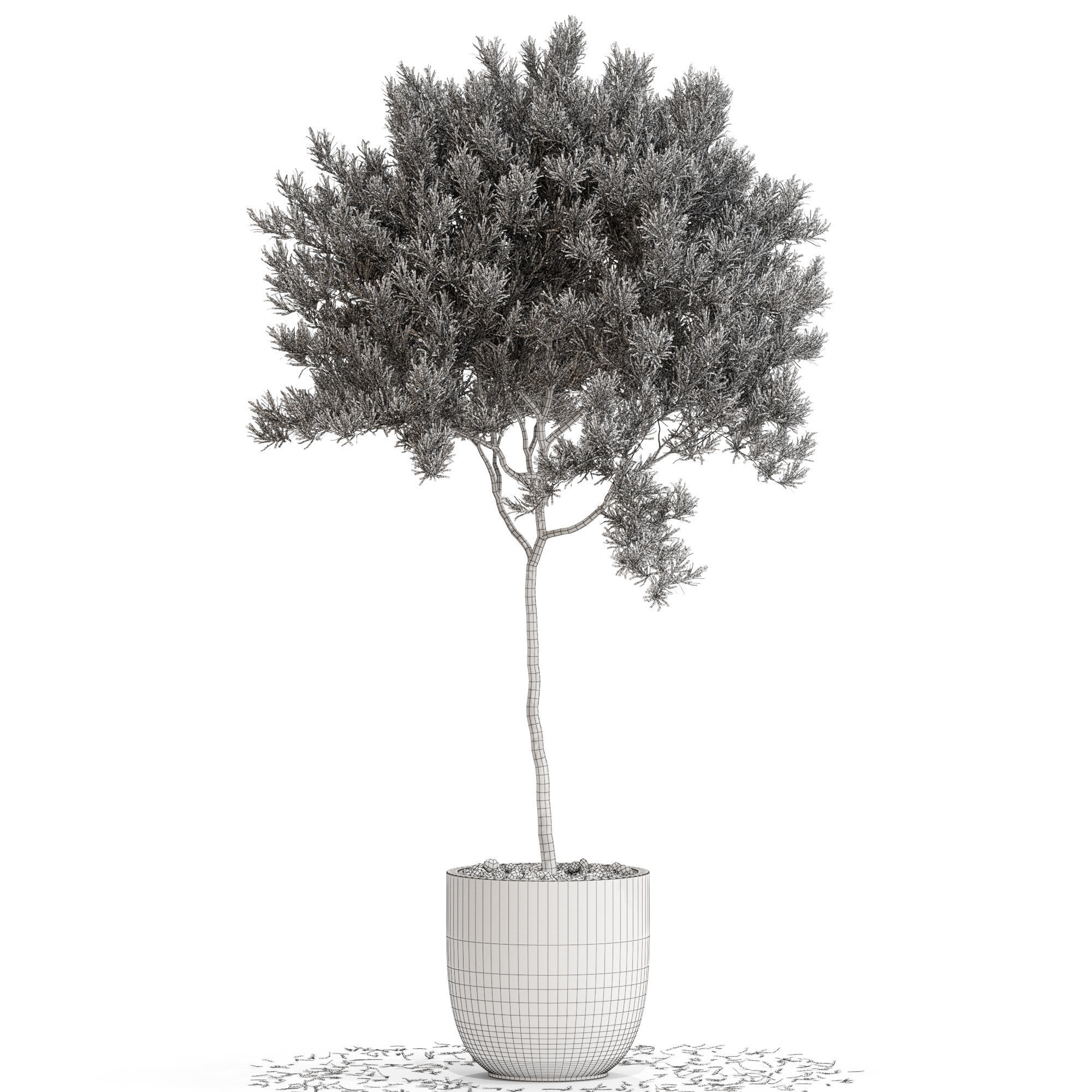Plants collection 671 3D model_3