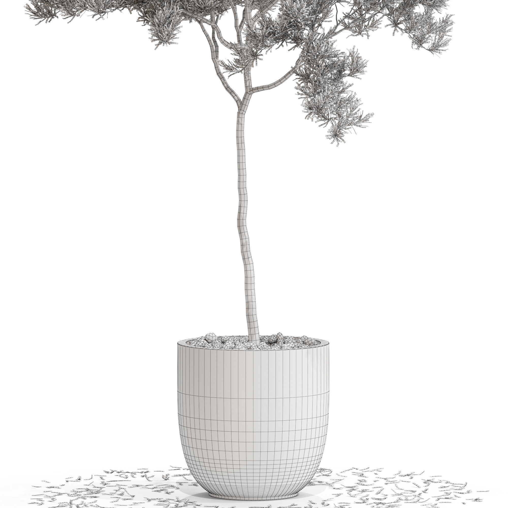 Plants collection 671 3D model_4