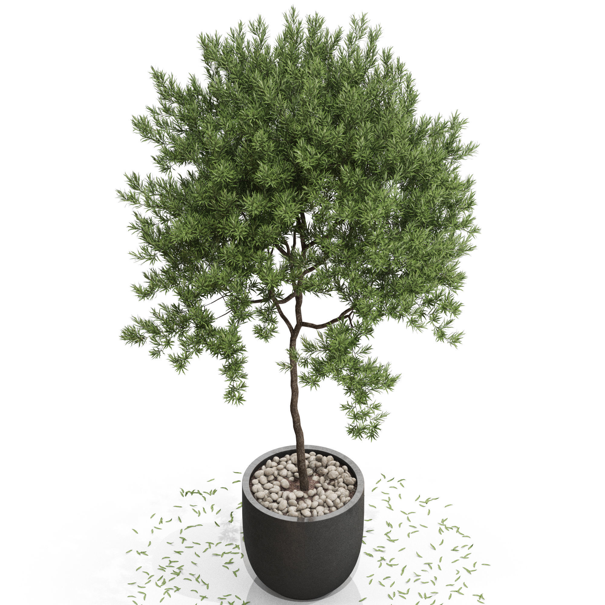 Plants collection 671 3D model_2