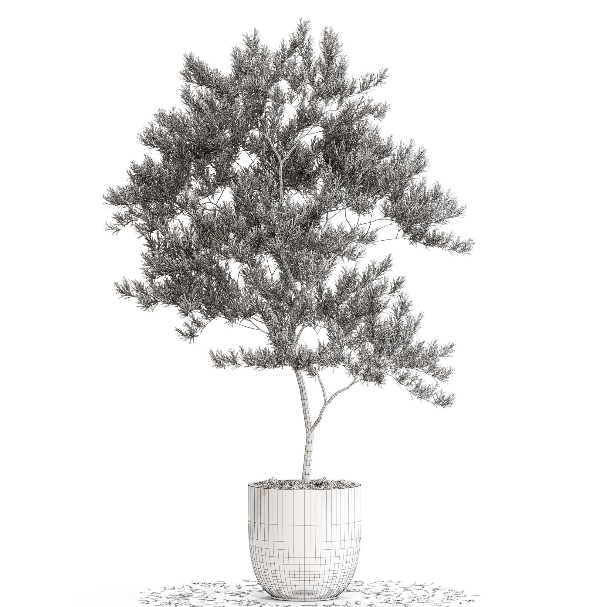 Plants collection 672 3D model_3