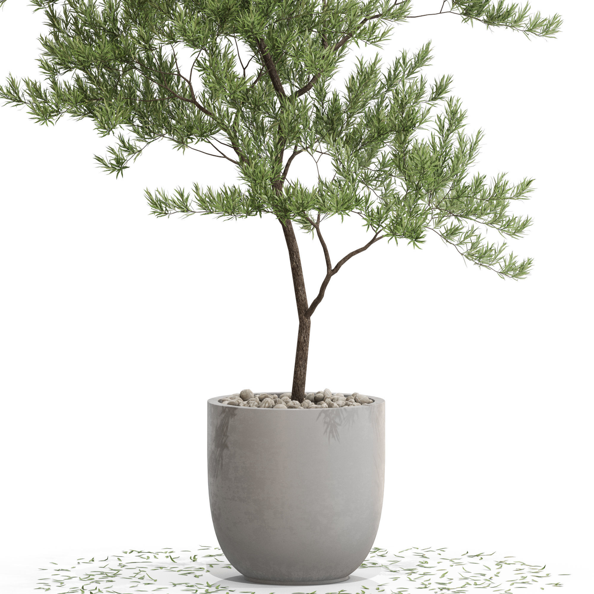 Plants collection 672 3D model_1