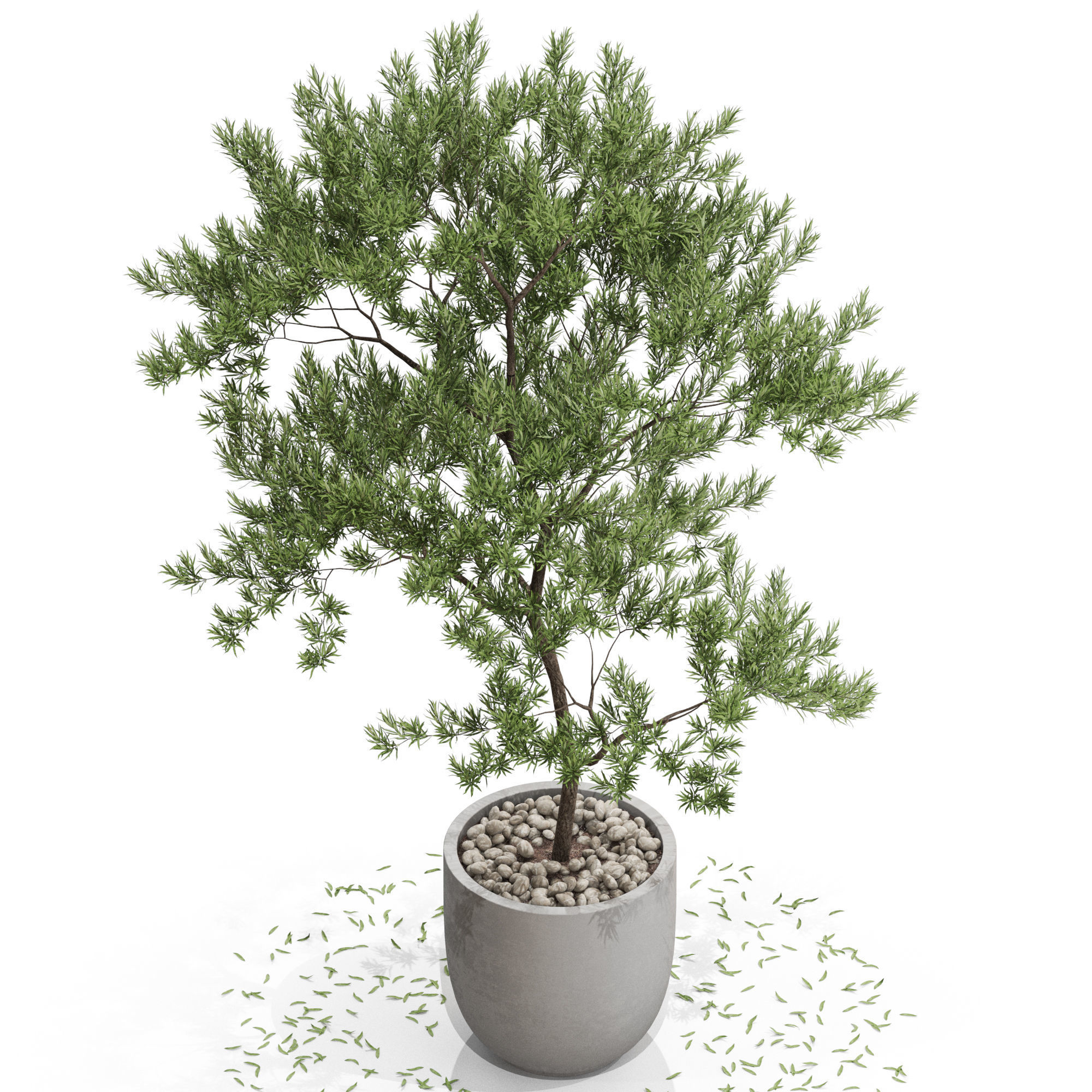 Plants collection 672 3D model_2